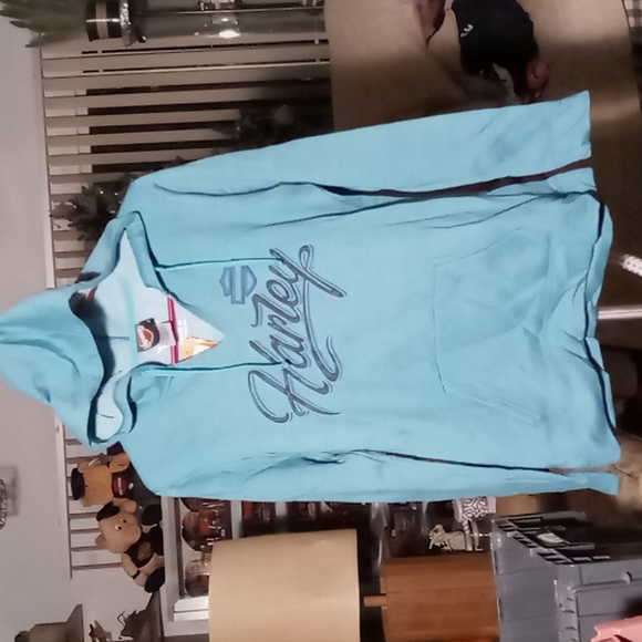 Harley-Davidson Hoodie - Picture 1 of 8